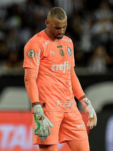 Weverton se lamenta durante Botafogo x Palmeiras, jogo do Campeonato Brasileiro