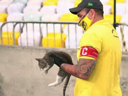 Gato invade Maracanã e rouba a cena em Flamengo x Grêmio; veja