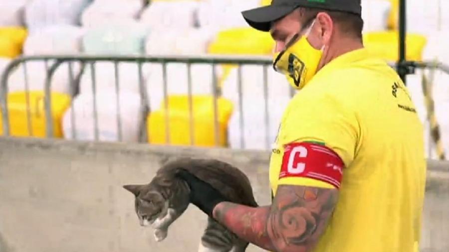 Gato rouba a cena durante o jogo entre Flamengo e Grêmio, pela Copa do Brasil - Reprodução