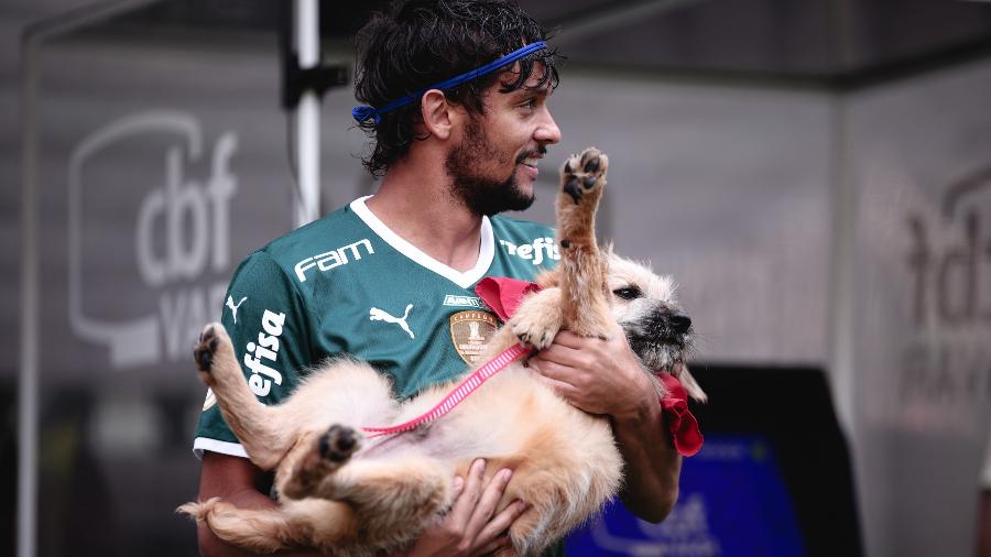 Gustavo Scarpa, do Palmeiras, entra em campo segurando um cachorro disponível para adoção - Ettore Chiereguini/AGIF