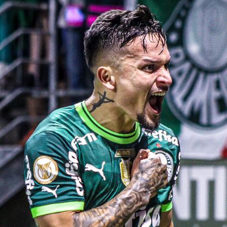 Palmeiras cobra preço de Libertadores para jogo contra líder Botafogo
