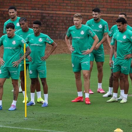 Jogadores do Palmeiras treinam para o Mundial de Clubes na Universidade da Carolina do Norte Jogadores do Palmeiras treinam para o Mundial de Clubes na Universidade da Carolina do Norte