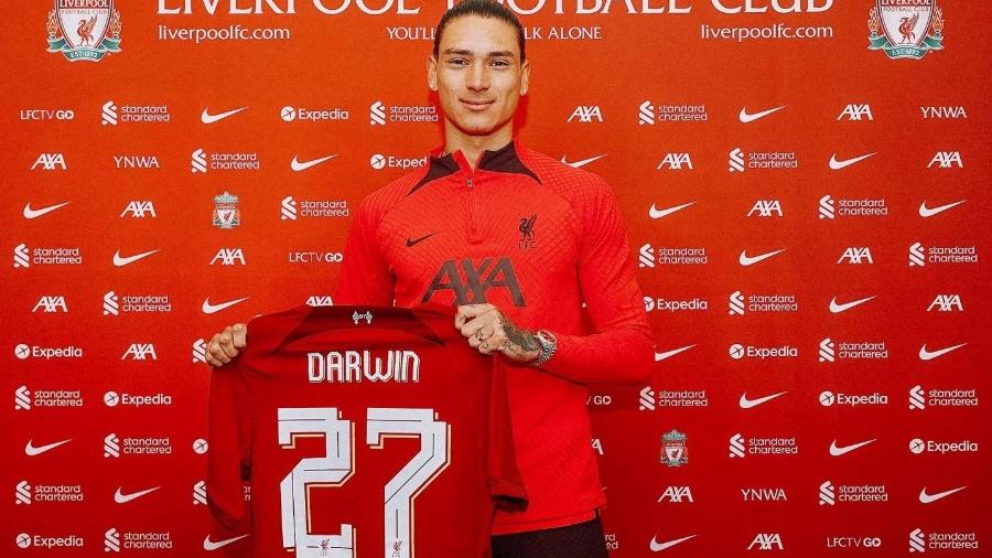 Darwin Núñez é o principal reforço do Liverpool nesta janela - Divulgação