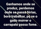 Diretora do Fla se desculpa por ofender nordestinos: 