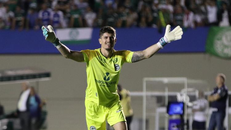 Goleiro Tadeu, do Goiás, em jogo contra o Palmeiras. Jogador desmaiou em campo após choque de cabeça com Zé Rafael - Heber Gomes/AGIF - Heber Gomes/AGIF