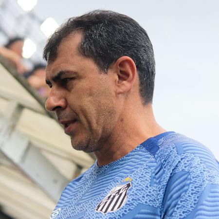 Fábio Carille, técnico do Santos, durante jogo contra o Vila Nova