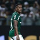 Abel deixa Arias no banco do Palmeiras em reencontro com o Flu; veja times