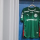 Palmeiras descarta 'socorro do Governo' ap&oacute;s veto das bets no Brasil