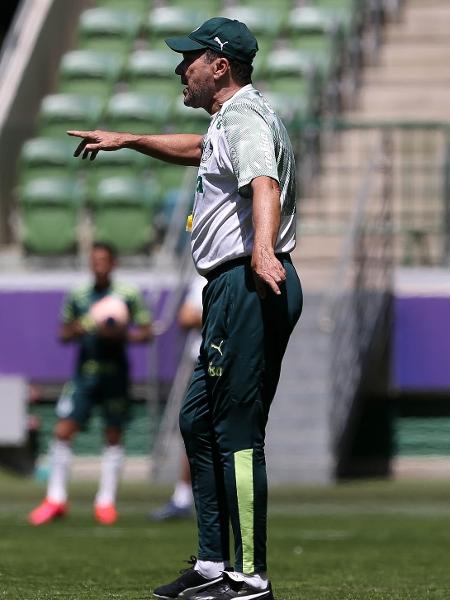 Vanderlei Luxemburgo fará o primeiro jogo como comandante do Palmeiras no Allianz - Cesar Greco/Ag. Palmeiras