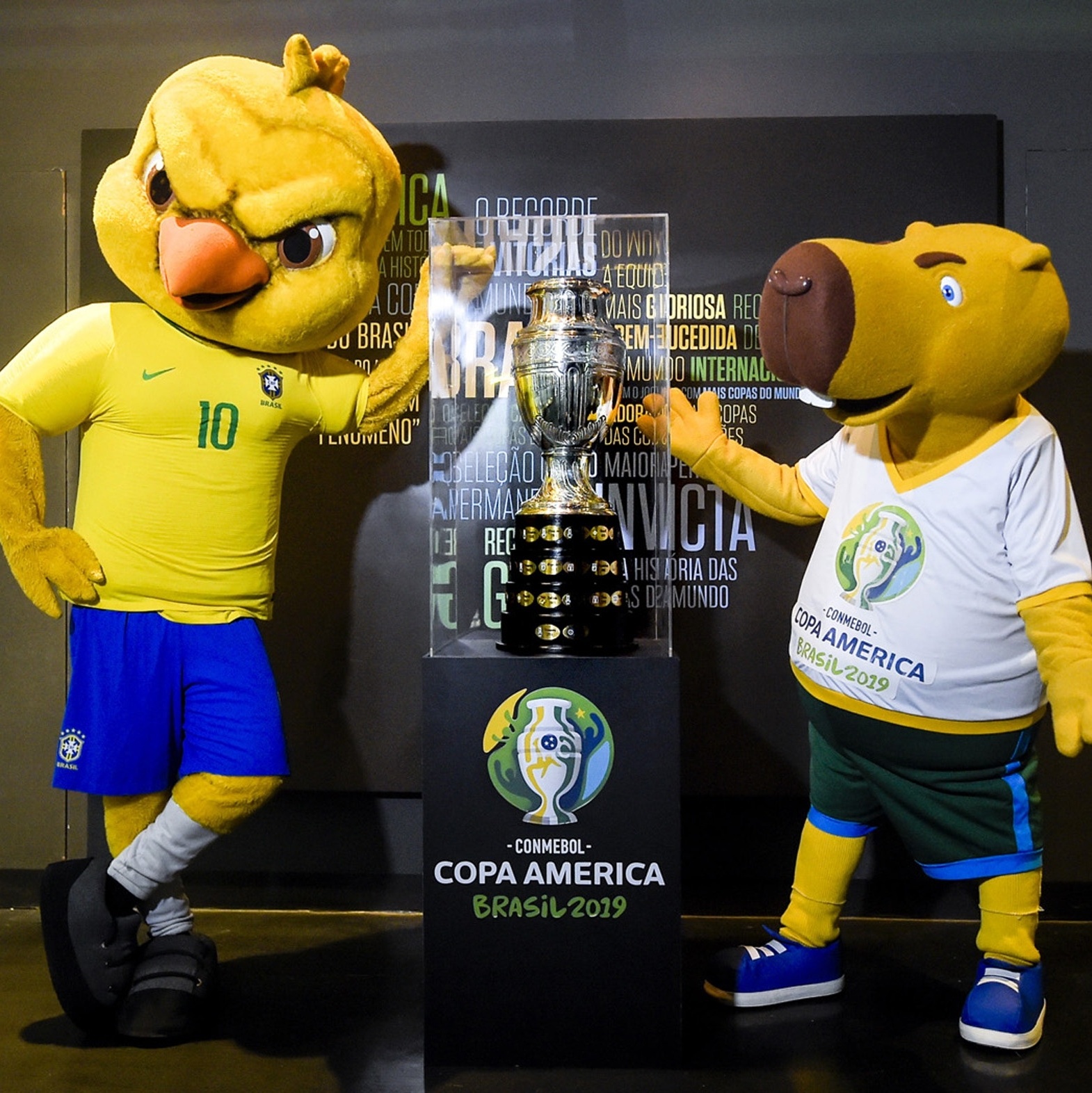 Mascote da Copa América, capivara tem contaminação por metais