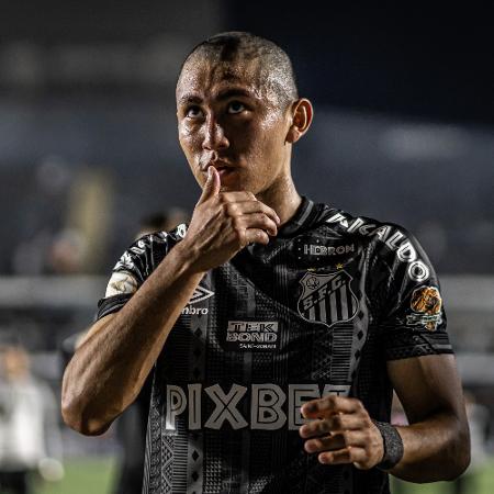 QUE FIM LEVOU WESLEY MEIA QUE JOGOU NO SANTOS, PALMEIRAS, SÃO