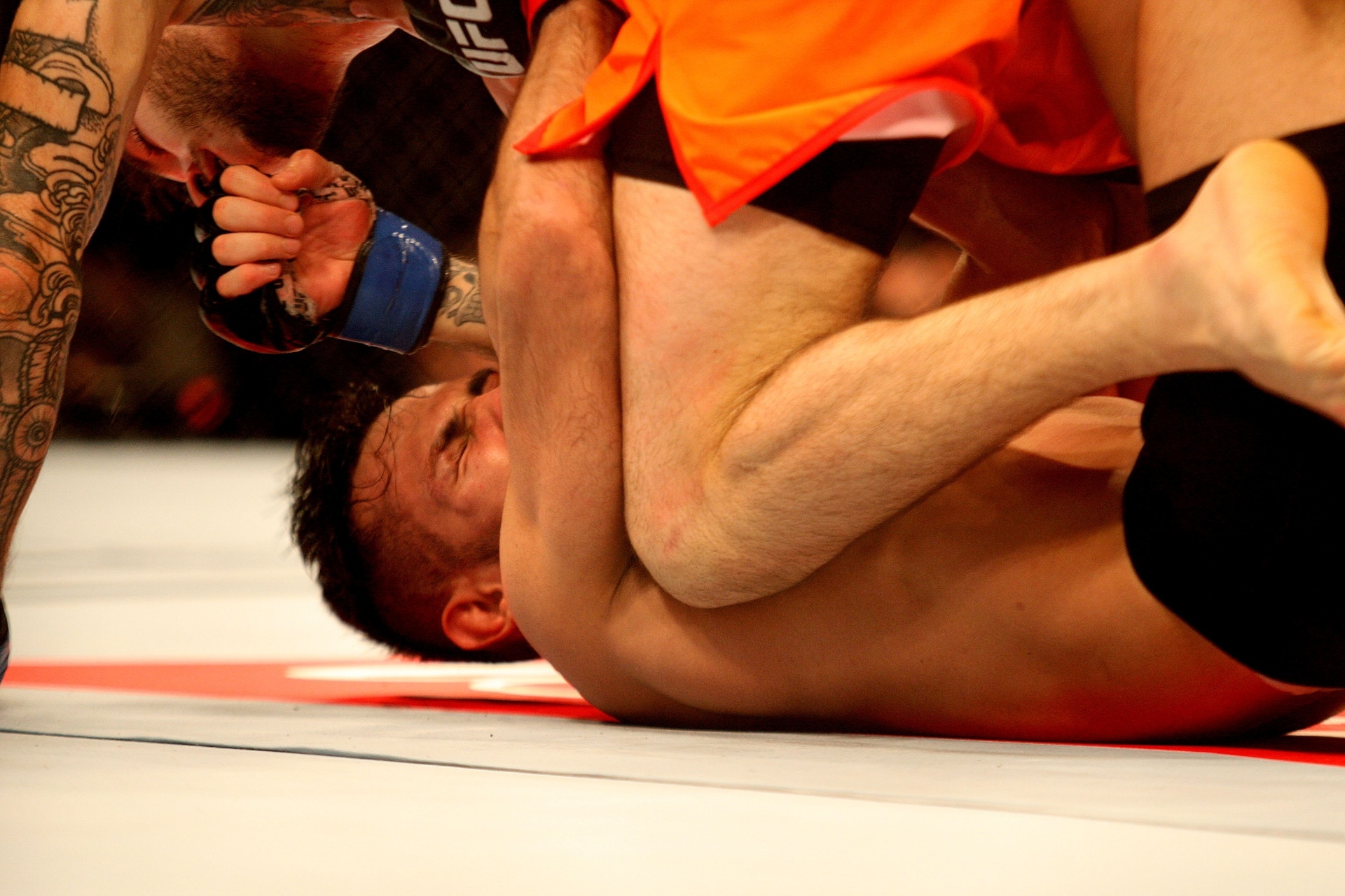 O terceiro assalto só consolidou a soberania de Nicolau. Depois de acertar um belo golpe no rosto de Korea, Nicolau montou e encaixou a guilhotina, obrigando seu adversário a desistir - Reinaldo Canato/UOL