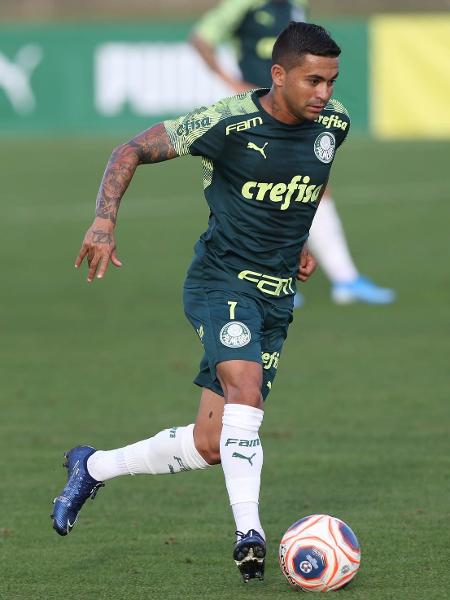 Dudu treina com o Palmeiras nos Estados Unidos - Cesar Greco/Ag. Palmeiras/Divulgação