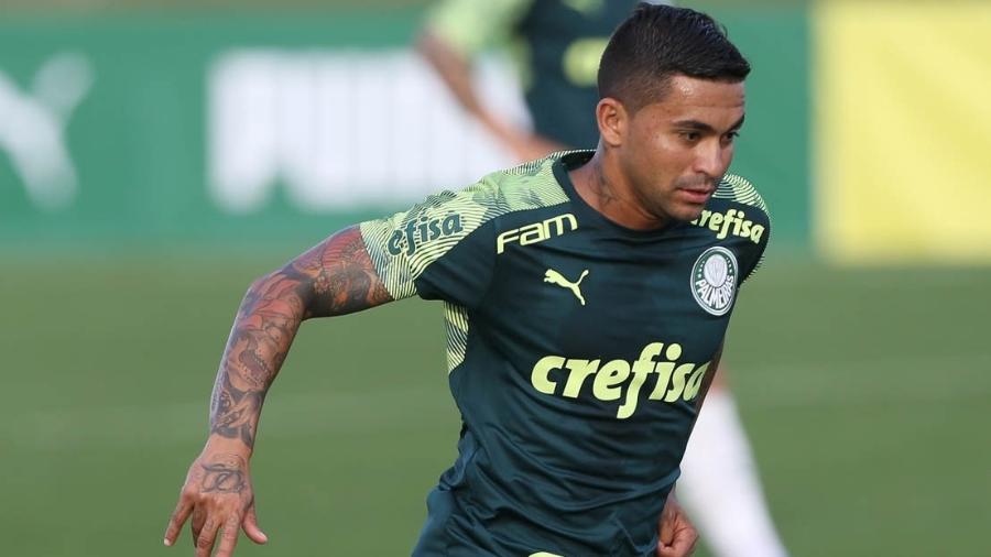 Dudu pode só jogar novamente pelo Palmeiras em agosto - Cesar Greco/Ag. Palmeiras/Divulgação