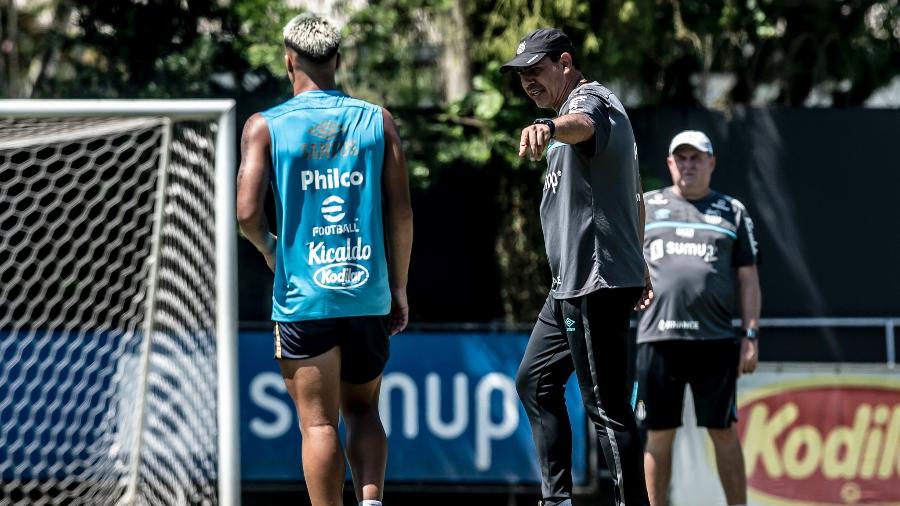 Técnico do Santos testou positivo para a covid-19 e já está em isolamento - Ivan Storti/Santos FC