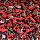 Flamengo prevê R$60 milhões de renda no jogo de abertura do novo estádio