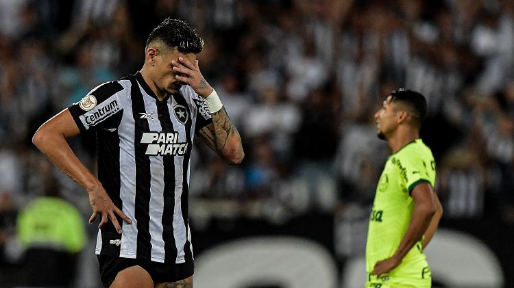 Tiquinho Soares se lamenta durante Botafogo x Palmeiras, partida do Campeonato Brasileiro