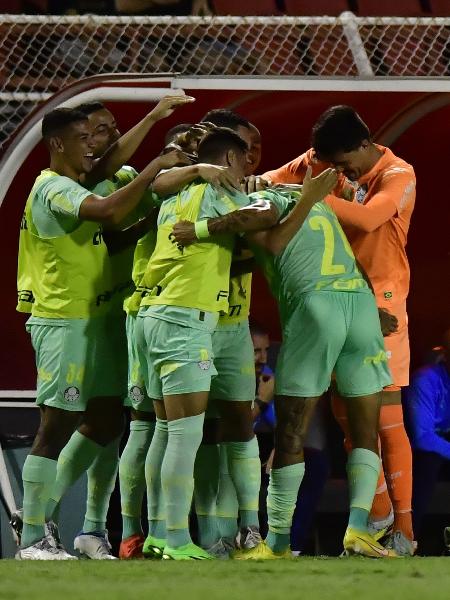 Palmeirenses comemoram gol de Rafael Navarro, o primeiro da vitória por 3 a 1 sobre o Ituano - EDUARDO CARMIM/AGÊNCIA O DIA/ESTADÃO CONTEÚDO