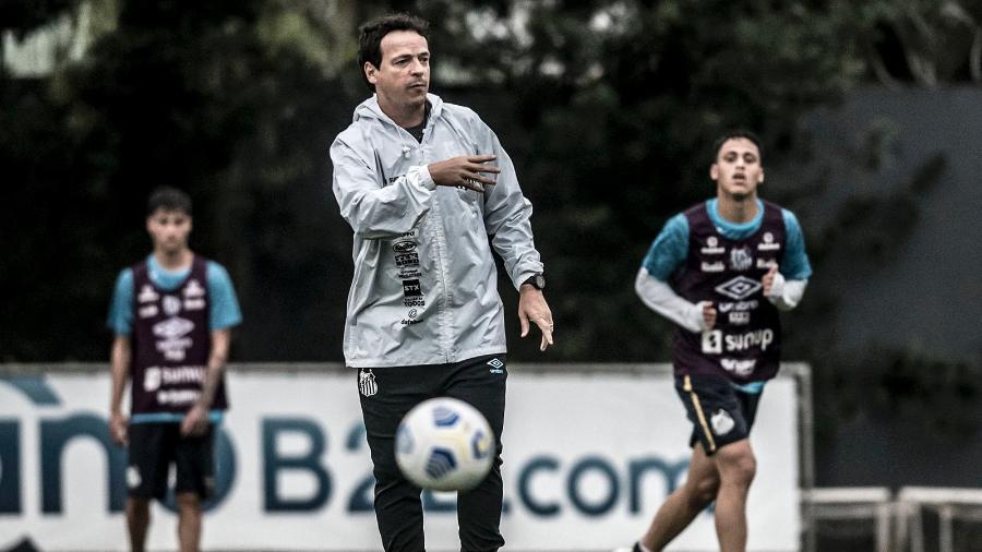 Fernando Diniz no comando do treino do Santos  - Ivan Storti/Santos FC