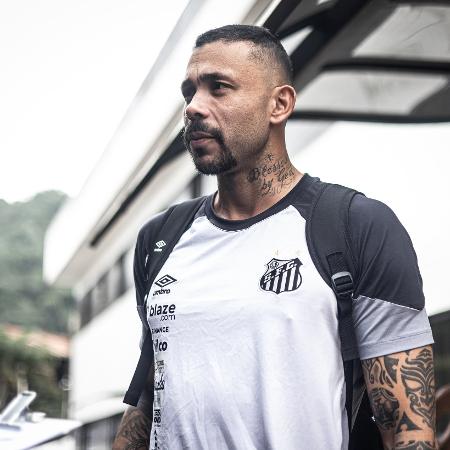 Vladimir, goleiro do Santos