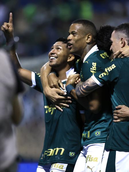 Rei da América: Palmeiras somou 185 pontos nas últimas dez edições da Libertadores
