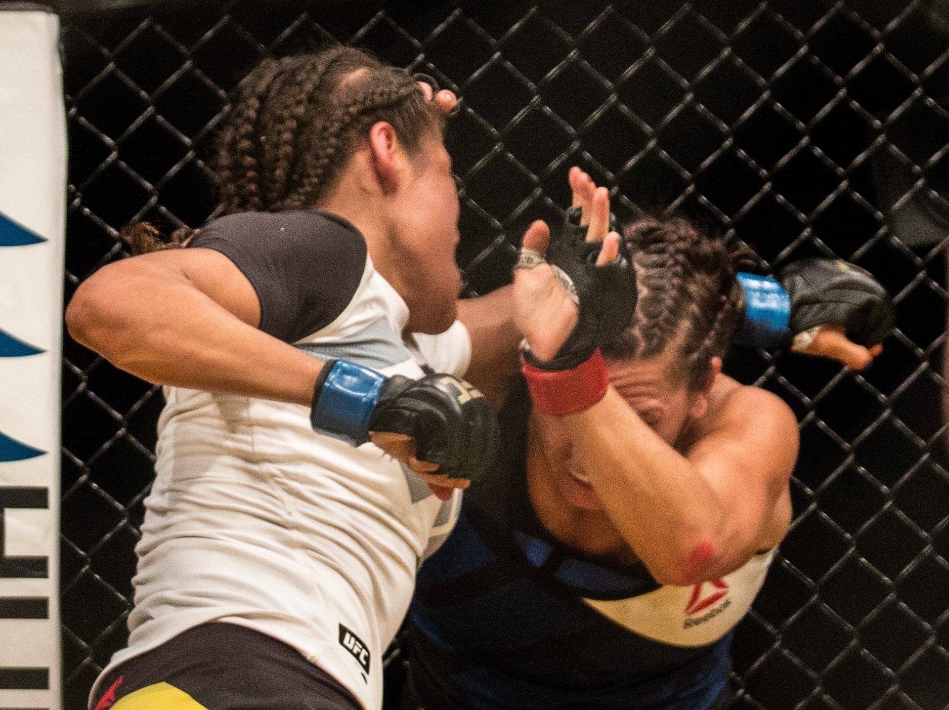 Julianna Peña parte para cima de Cat Zingano  na última luta do card preliminar do UFC 200 - Rigel Salazar/ Ag Fight