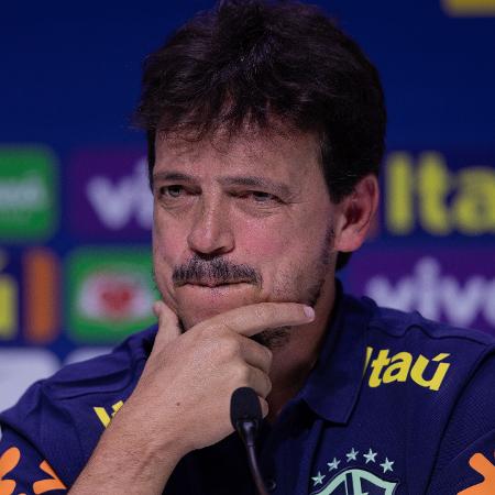 Fernando Diniz foi apresentado como técnico interino da seleção brasileira