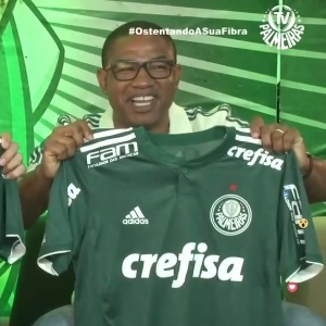 Modificação do Escudo do Palmeiras 2.0 (agora partindo da versão de  u/decofoxsp do ano passado) : r/futebol