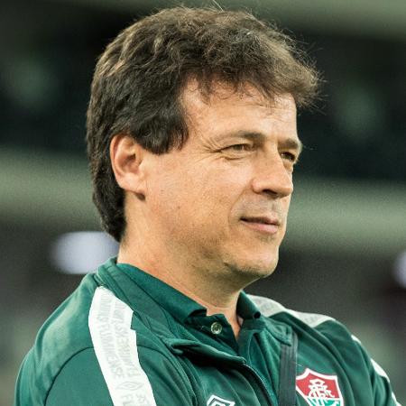 Fluminense oferece mais tempo de trabalho a Fernando Diniz - Robson Mafra/AGIF