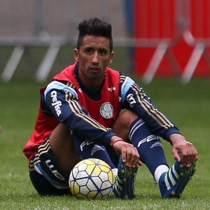 Cesar Greco/Ag Palmeiras