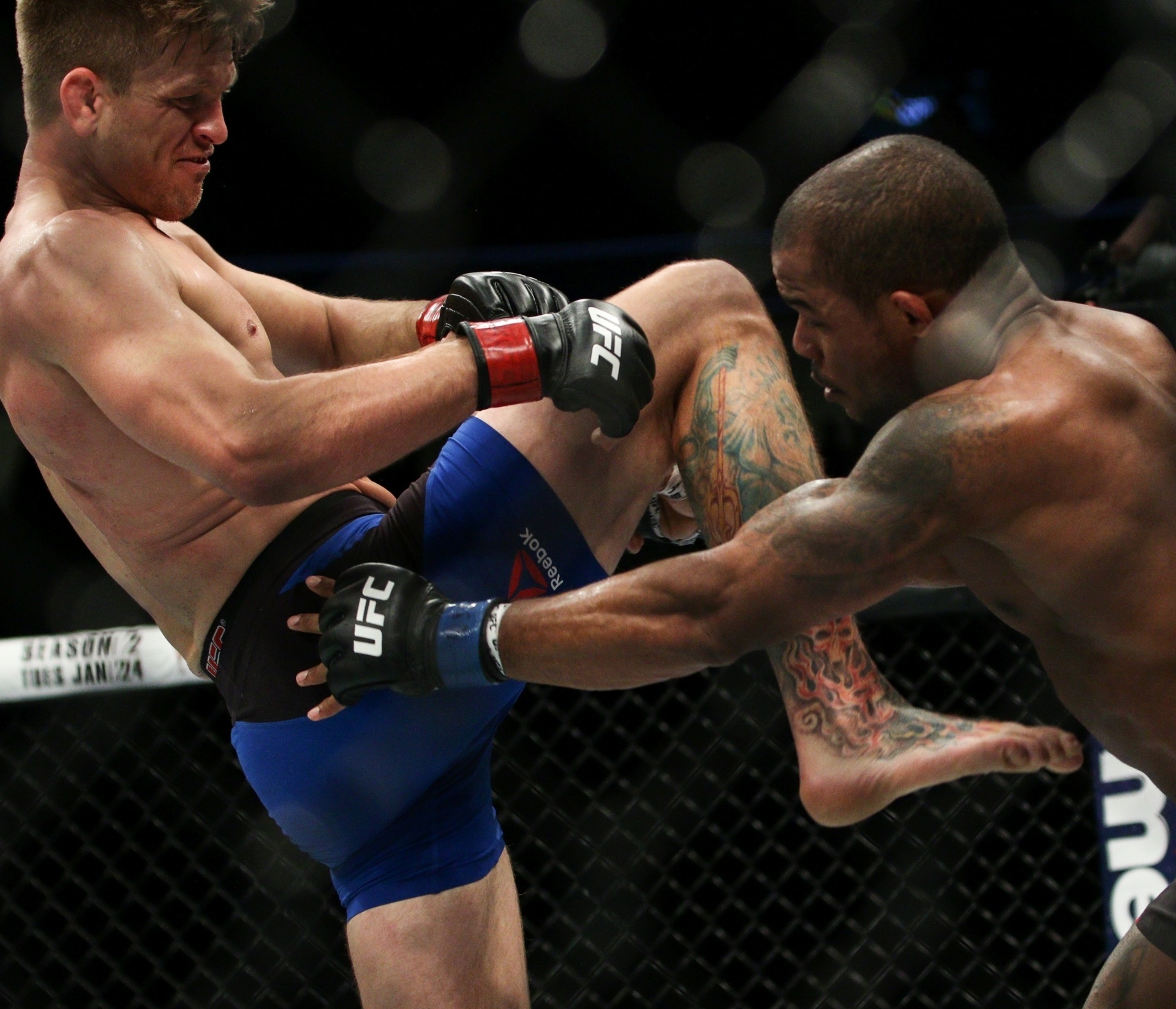 Luta de Amanda Nunes bate recorde histórico de público do UFC em Las ...