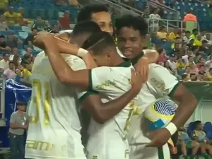 Palmeiras se refresca no calor de Cuiabá 