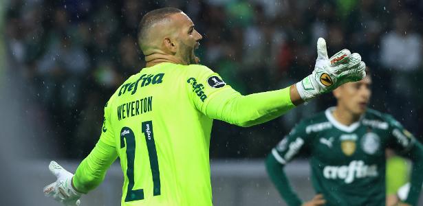 SportsCenter Brasil on X: A temporada de Weverton: ✓ melhor