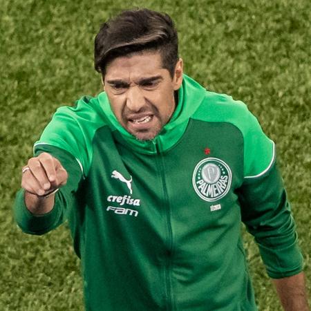 Abel Ferreira, técnico do Palmeiras, durante jogo contra o Botafogo