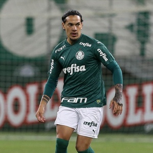 Cesar Greco/Palmeiras