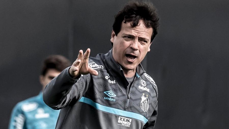 Fernando Diniz tem nova chance para brilhar na Sul-Americana - Ivan Storti/Santos FC