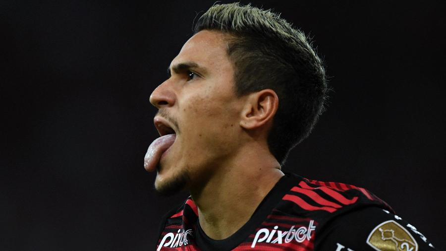 Pedro balançou as redes para o Flamengo na partida contra o Tolima, válida pela Libertadores - MAURO PIMENTEL / AFP)