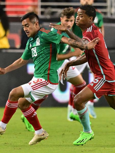 Amistoso entre México e Colômbia ficou marcado por um erro "geral" - Frederic J. BROWN / AFP