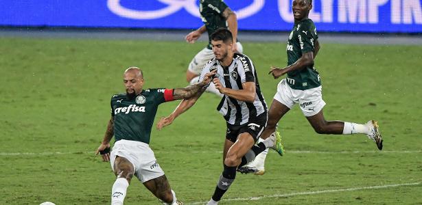 Palmeiras X Botafogo: Onde Assistir, Horário, Escalações E Arbitragem