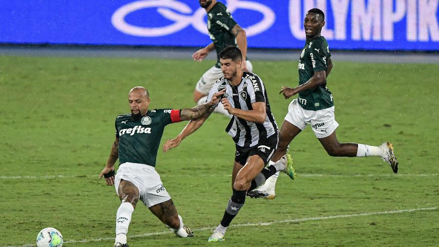 Lance do duelo Botafogo e Palmeiras, no Rio, pelo Brasileirão - Thiago Ribeiro/AGIF