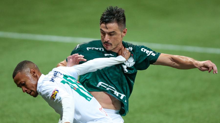 Palmeiras x América-MG: Confira onde assistir ao jogo do Palmeiras