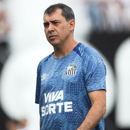 Fabio Carille, técnico do Santos, durante jogo contra o CRB - Reinaldo Campos/Agif