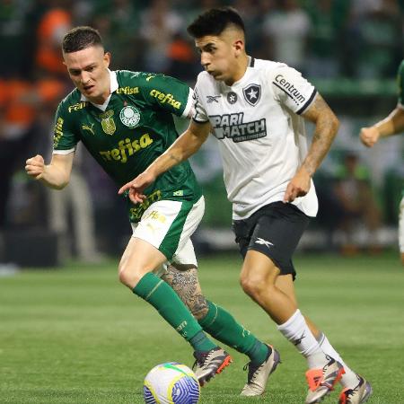 Palmeiras x Botafogo jogarão pela primeira rodada do Brasileiro, domingo Palmeiras x Botafogo jogarão pela primeira rodada do Brasileiro, domingo