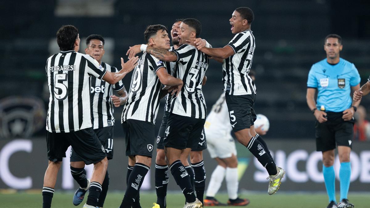 Botafogo x Vitória: horário e onde assistir ao jogo do Brasileirão