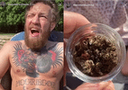 Conor McGregor resolveu fazer algo novo na quarentena: comer abelhas - Reprodução/Instagram