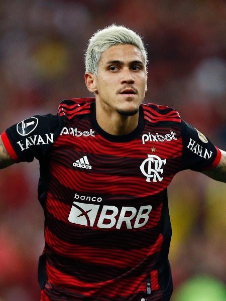 Pedro, do Flamengo, comemora gol contra o Vélez pela Copa Libertadores - Wagner Meier/Getty Images