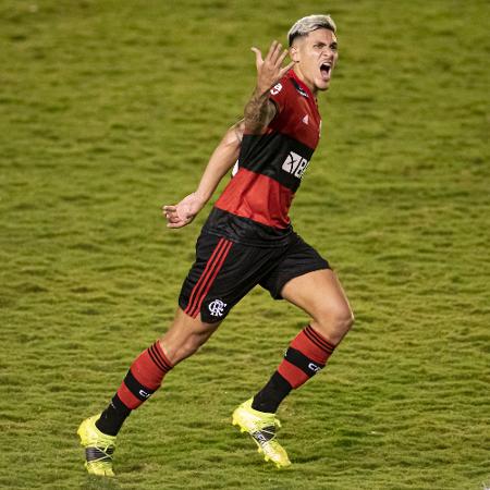 Pedro comemora gol de empate do Flamengo contra Portuguesa - Jorge Rodrigues/AGIF
