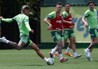 Palmeiras finaliza preparação para jogo decisivo contra o Fluminense pelo Brasileirão; veja provável time - Cesar Greco/Palmeiras