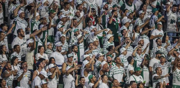 Contra o Flamengo, Palmeiras pode bater mais uma marca de bilheteria