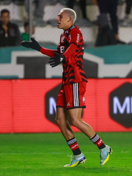 Werton, do Flamengo, comemora gol marcado sobre o Juventude em jogo do Campeonato Brasileiro